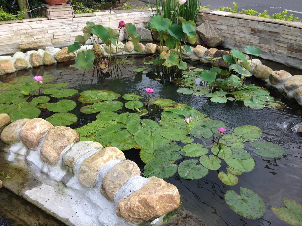 Songyuan B&B Lugu Buitenkant foto